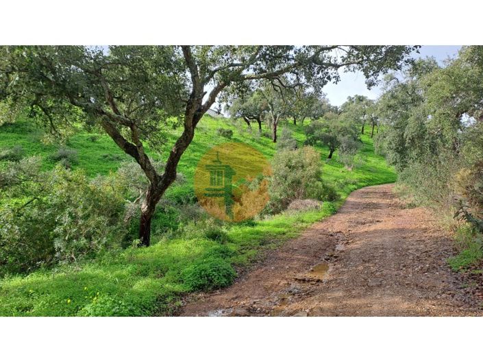 Image No.8-Plot for sale