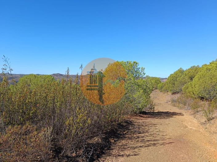 Image No.2-Commercial for sale