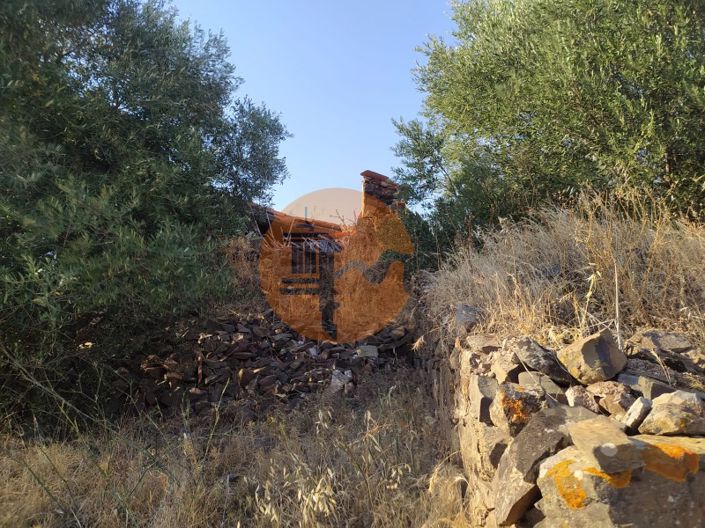 Image No.6-1 Bed Farmhouse for sale