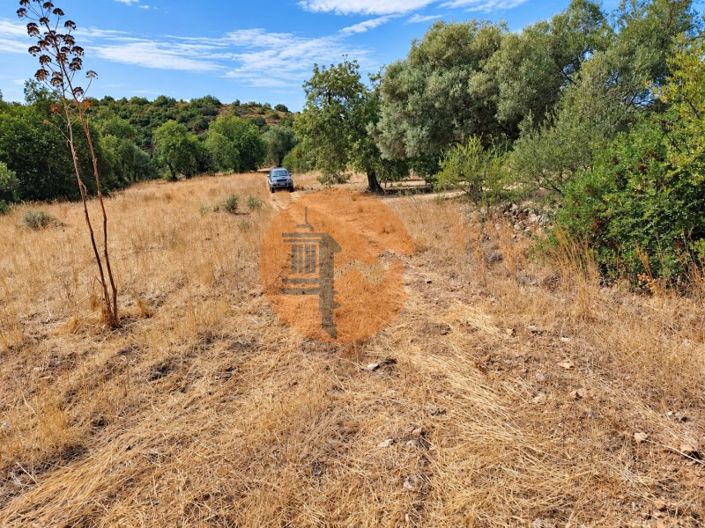 Flat rustic land with good access