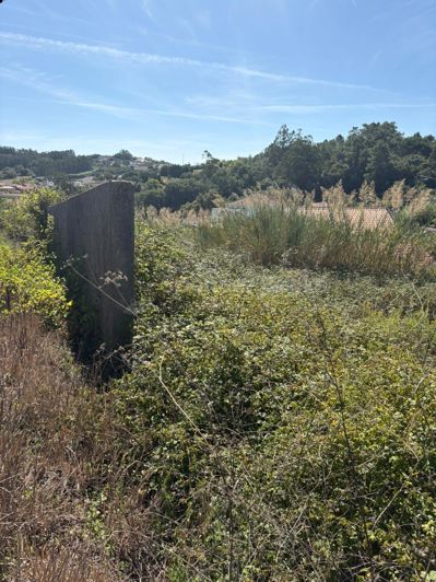 Image No.3-Land for sale