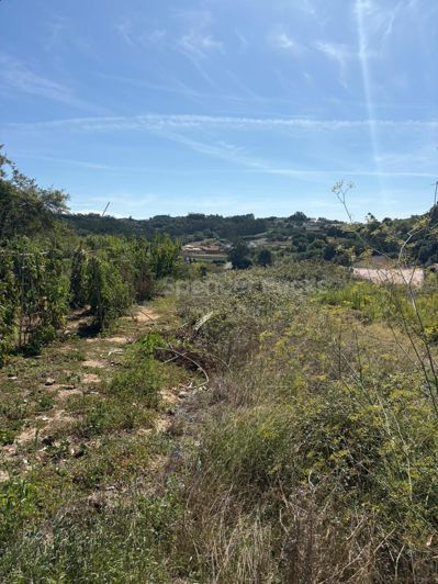 Image No.6-Land for sale