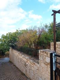 IMG_20221129_151942