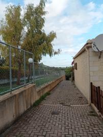 IMG_20221129_152036
