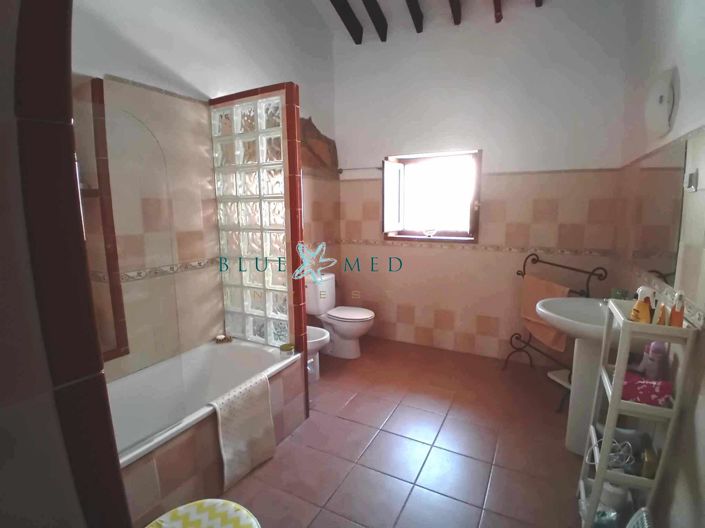 Image No.19-6 Bed Country House for sale