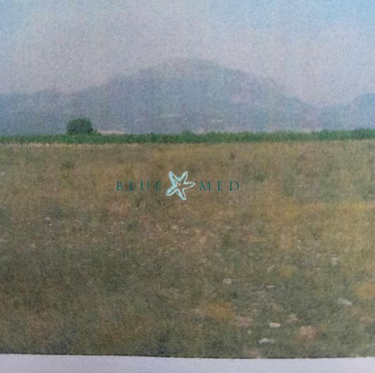 Image No.3-Propriété à vendre à Lorca