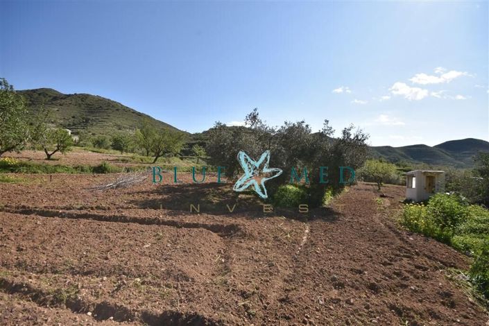 Image No.14-Property for sale