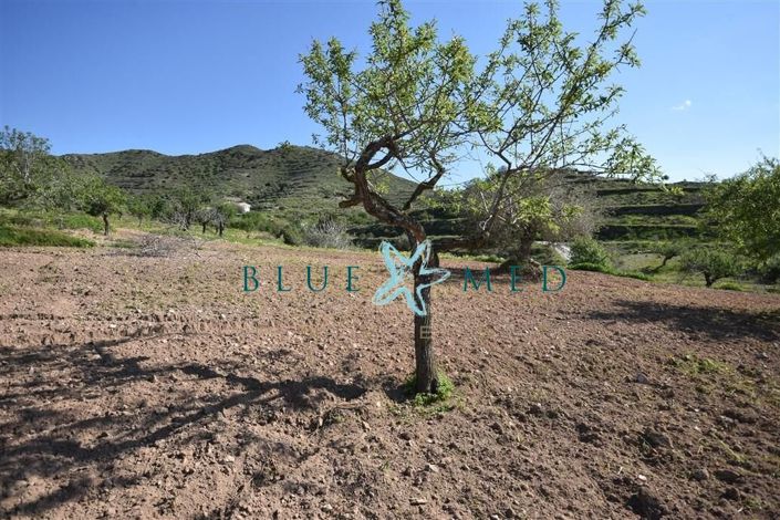 Image No.20-Property for sale