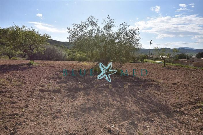 Image No.22-Property for sale