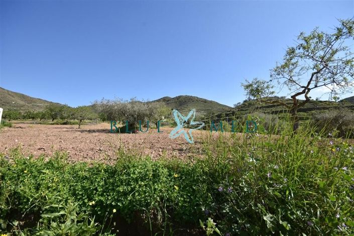 Image No.8-Property for sale