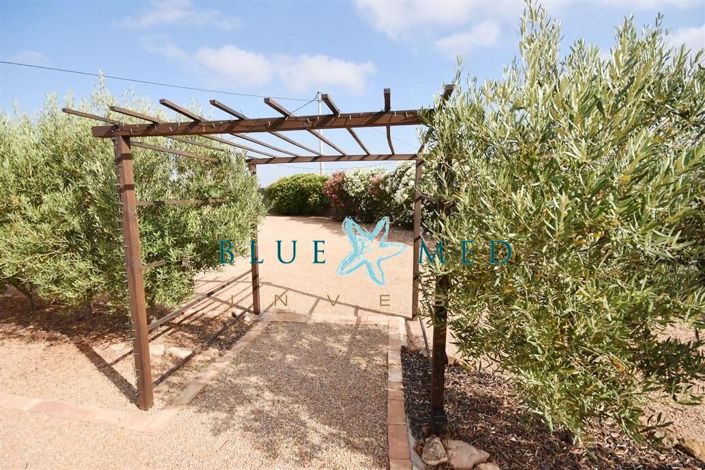 Image No.11-3 Bed Country House for sale