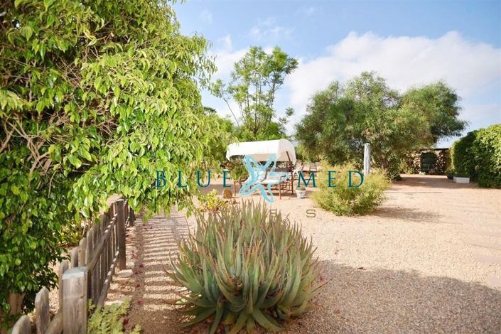 Image No.19-3 Bed Country House for sale