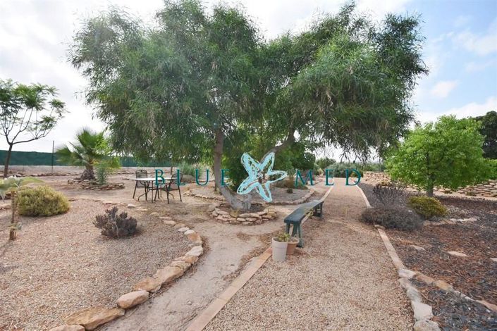 Image No.22-3 Bed Country House for sale