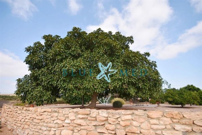 Image No.33-3 Bed Country House for sale