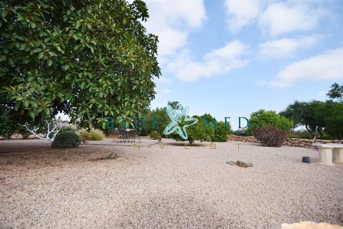 Image No.34-3 Bed Country House for sale