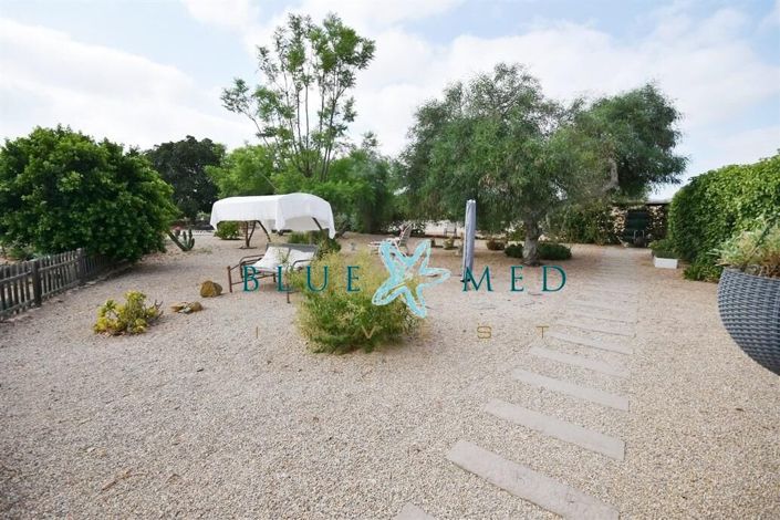 Image No.47-3 Bed Country House for sale