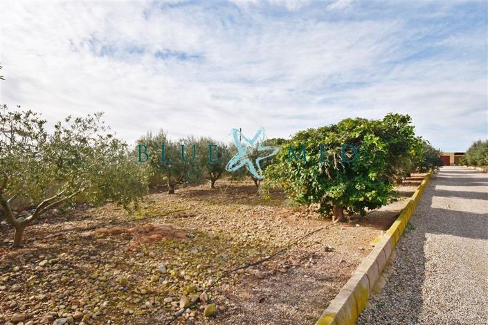 Image No.8-Casa de campo con 1 dormitorio en venta