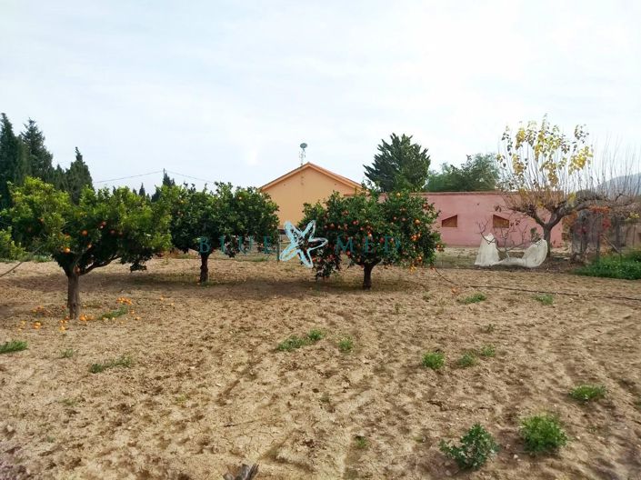 Image No.2-3 Bed Country House for sale