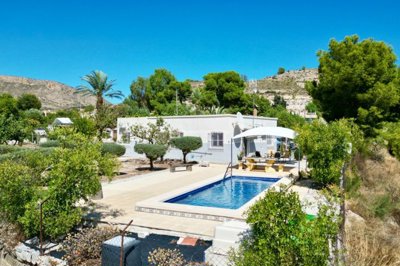 40504xl