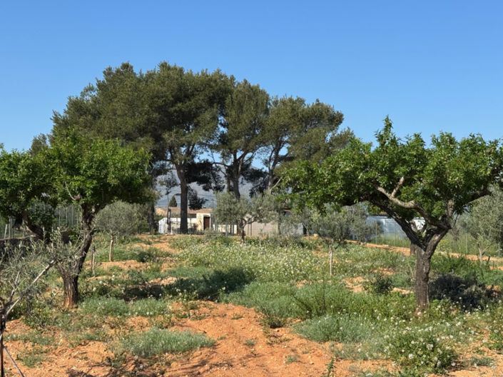 Image No.2-Finca de 4 chambres à vendre à Benissa