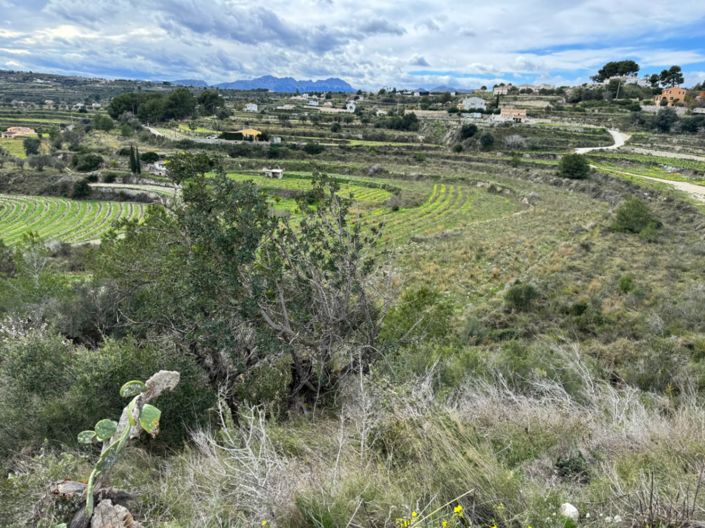 Image No.8-Plot for sale