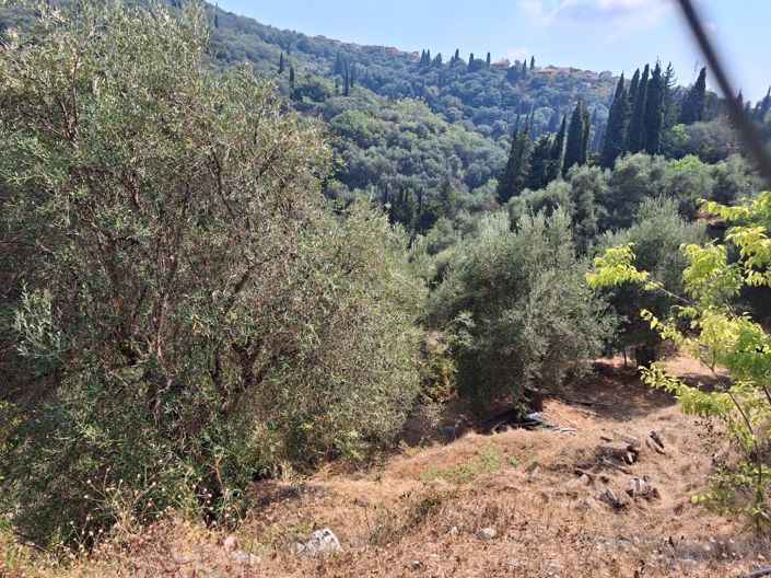 Image No.2-Plot for sale