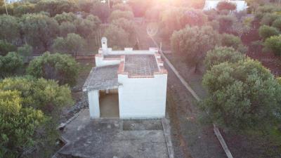DJI_0443