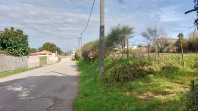 foto-25010--7-
