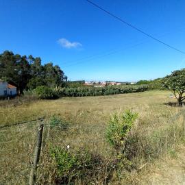 1 - Leiria, Land