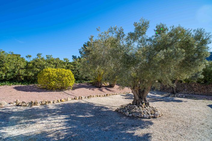 Image No.6-3 Bed Villa for sale