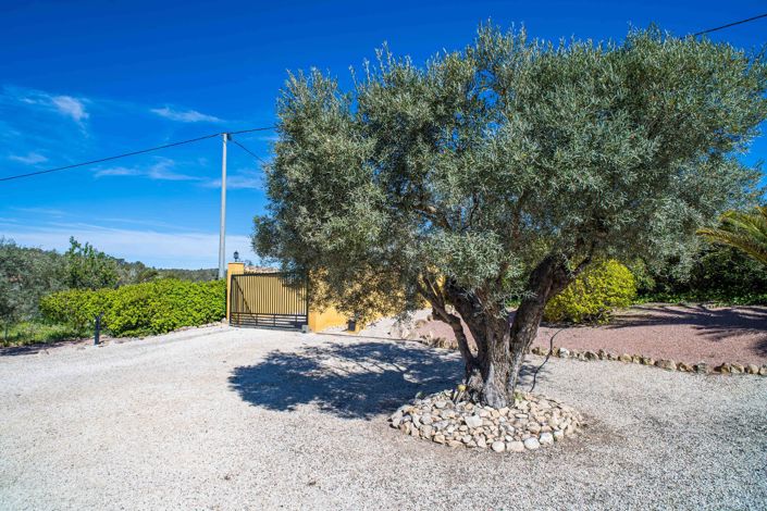 Image No.9-3 Bed Villa for sale