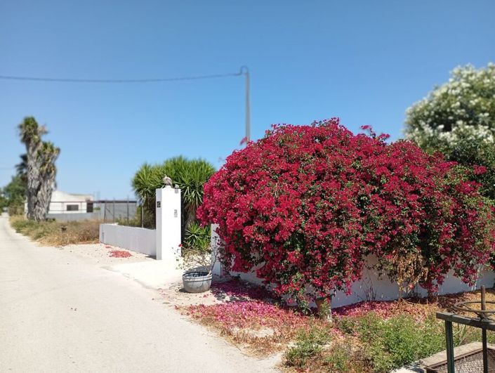 Image No.6-4 Bed Country House for sale