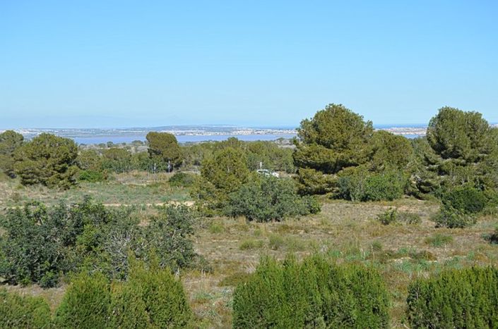Image No.22-Appartement de 1 chambre à vendre à Villamartin