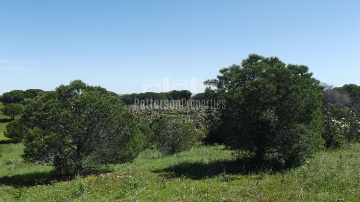 Image No.13-Land for sale