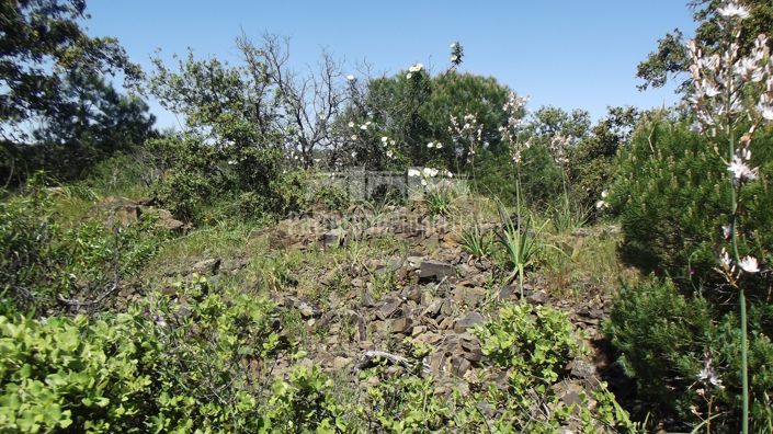 Image No.5-Land for sale