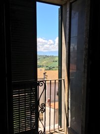 IMG_5940