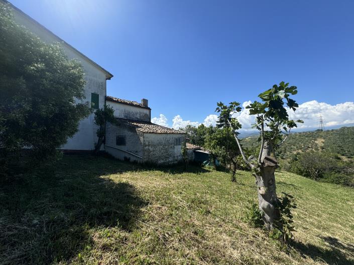 Image No.46-Ferme de 3 chambres à vendre à Lanciano