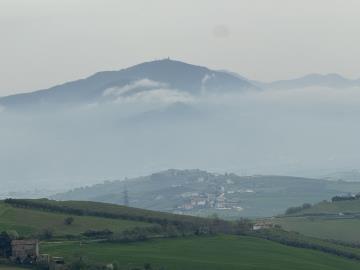 IMG_0774