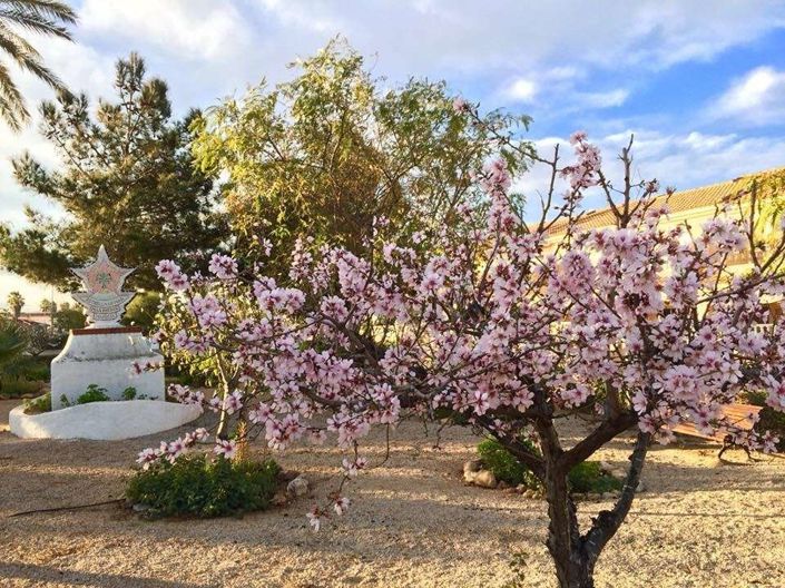 Image No.31-3 Bed Villa for sale