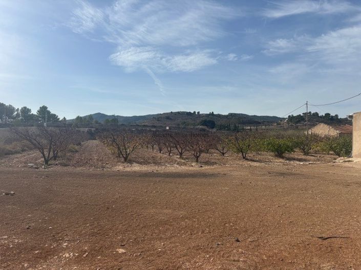 Image No.4-Land for sale