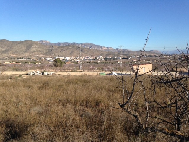 Image No.7-Land for sale
