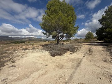 img5277-639x479