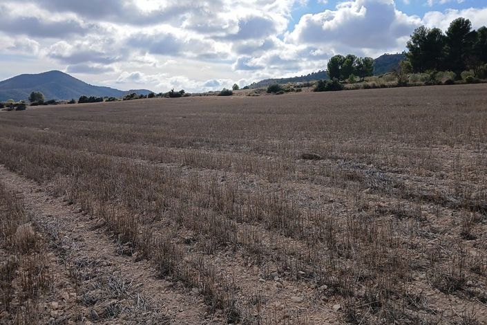 Image No.17-Land for sale