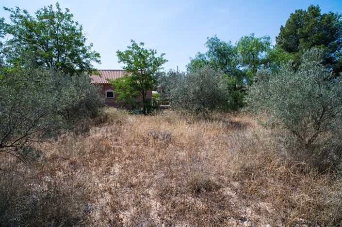 Image No.50-5 Bed Country House for sale