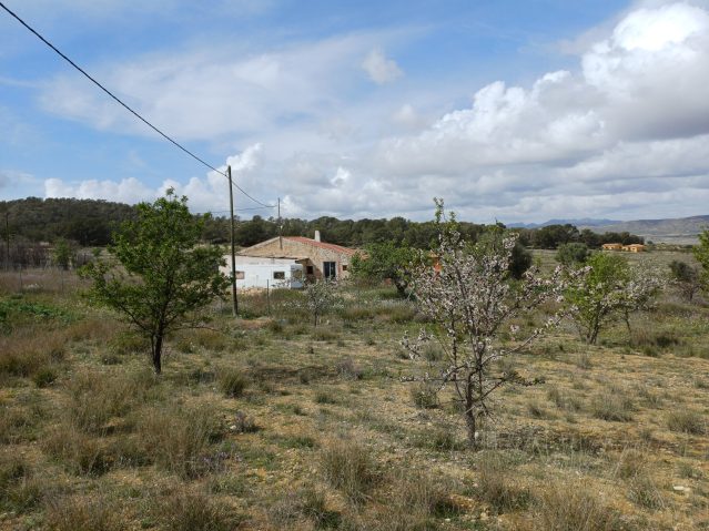 Image No.7-Villa de 3 chambres à vendre à La Zarza