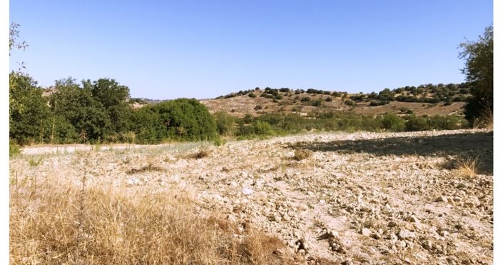 Image No.4-Land for sale