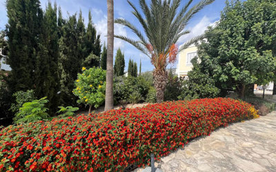04exteriorkey-ready-villa-for-sale-paphos-cyp