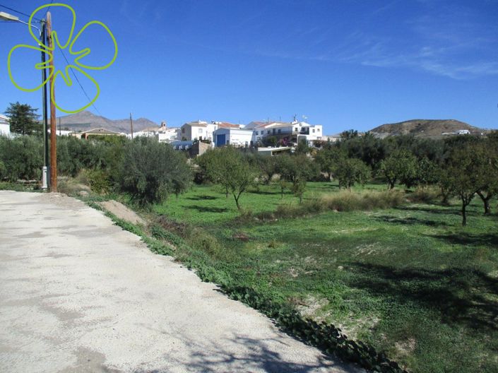 Image No.21-3 Bed Country House for sale