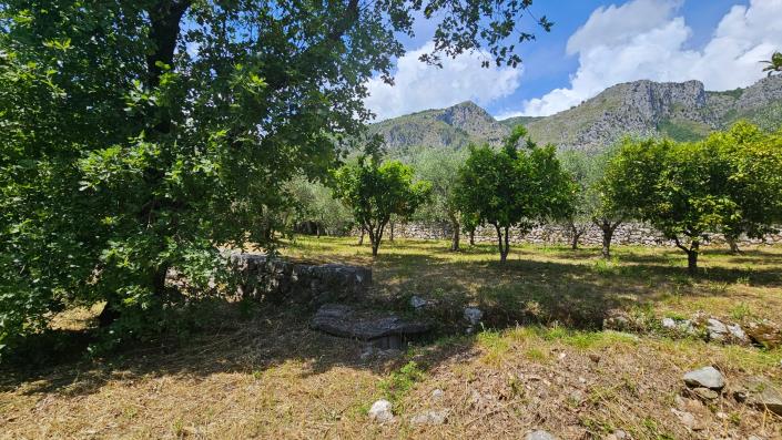 Image No.9-5 Bed Country Property for sale