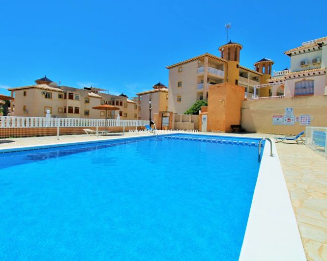 Image No.2-2 Bed Quad for sale